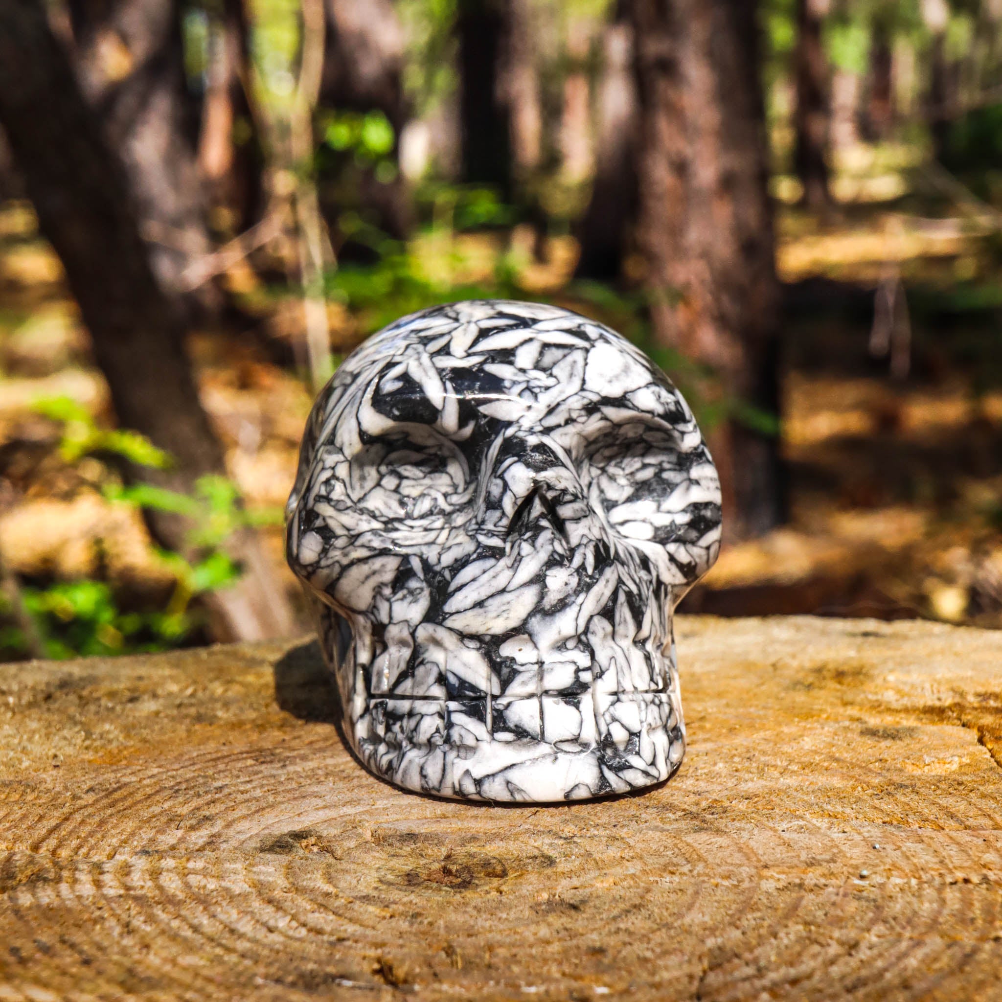 Pinolith Skull