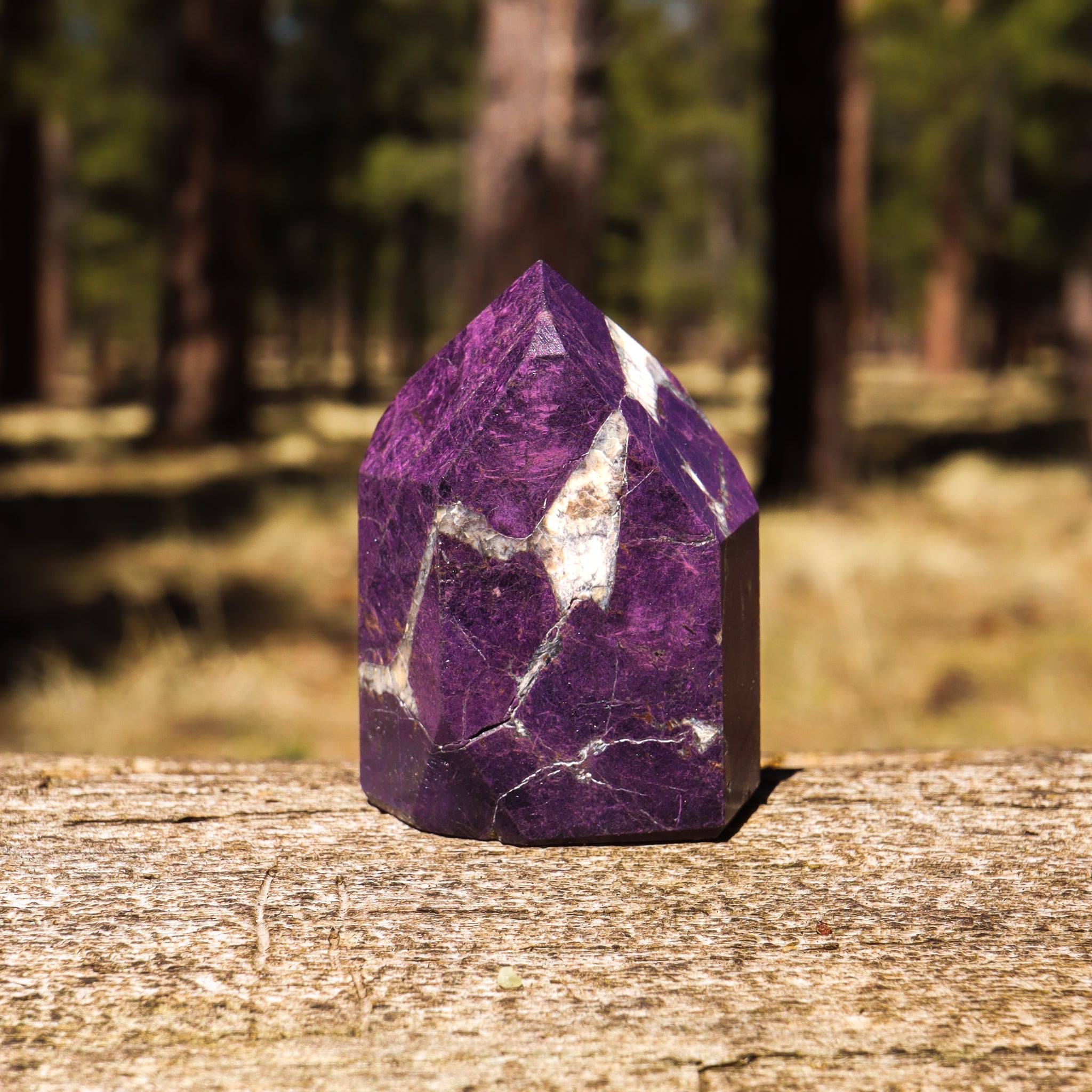 Purpurite Point
