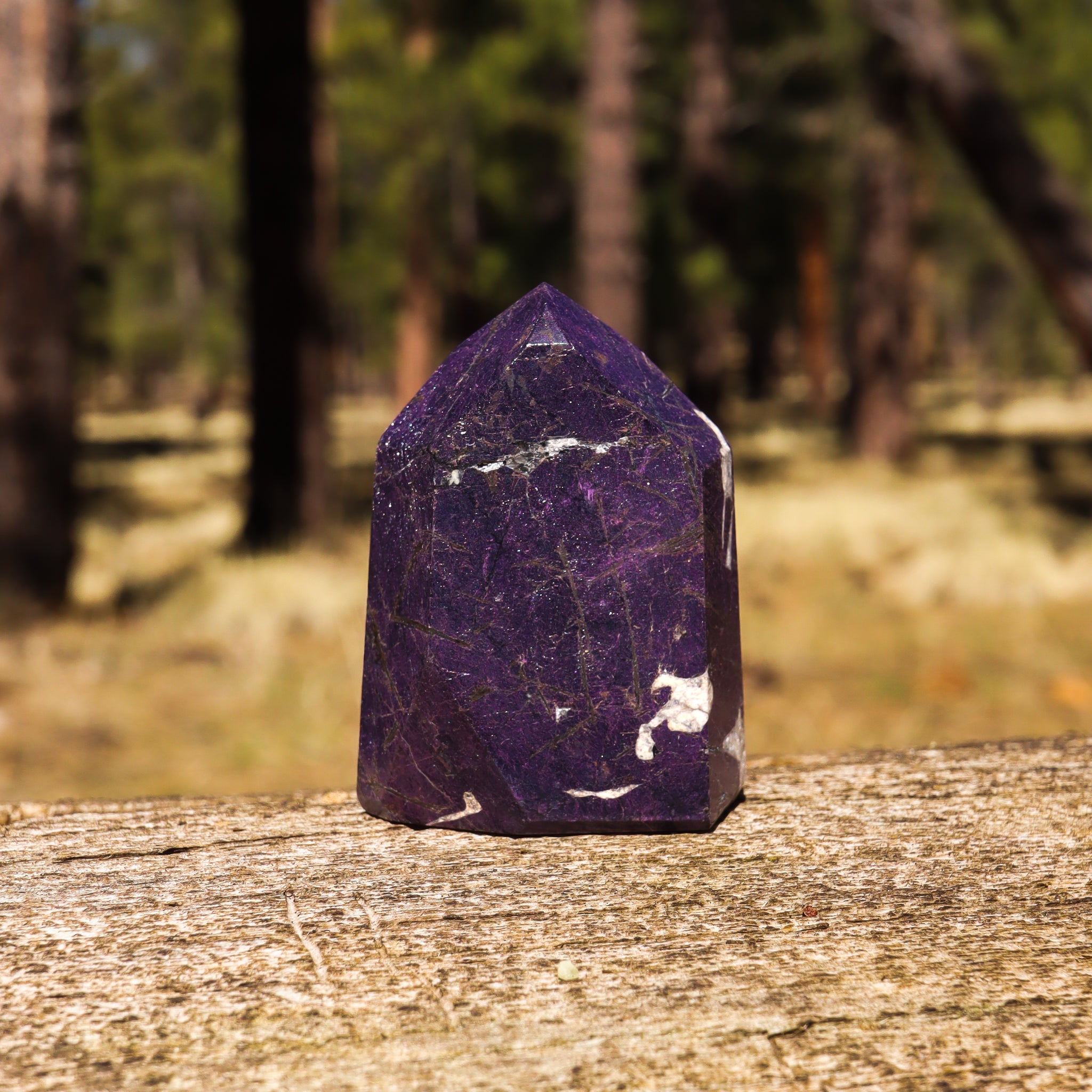 Purpurite Point