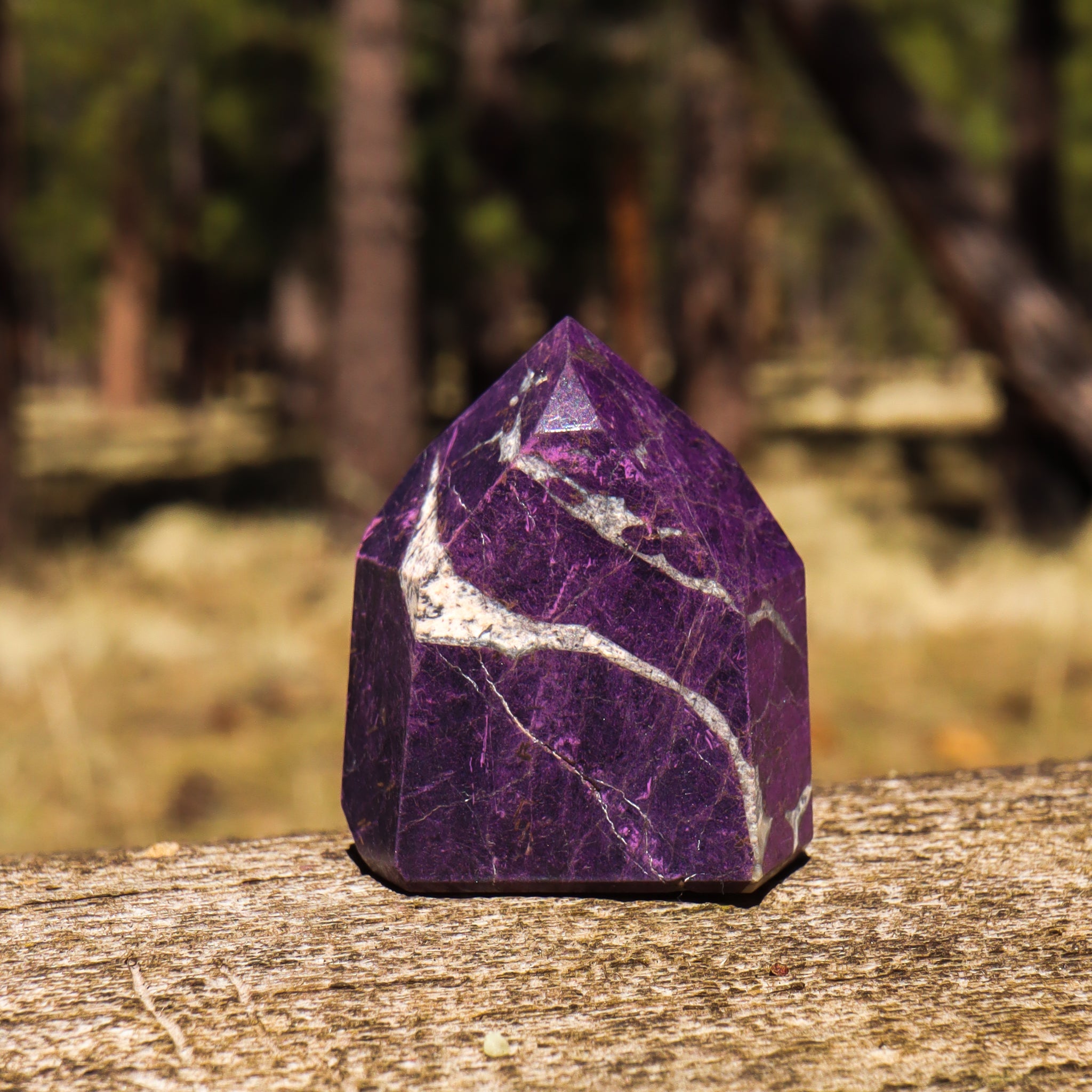 Purpurite Point