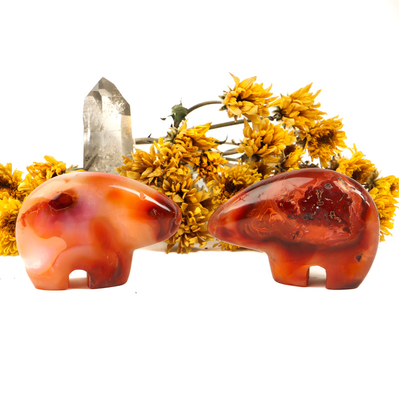 Carnelian Carved Buffalo