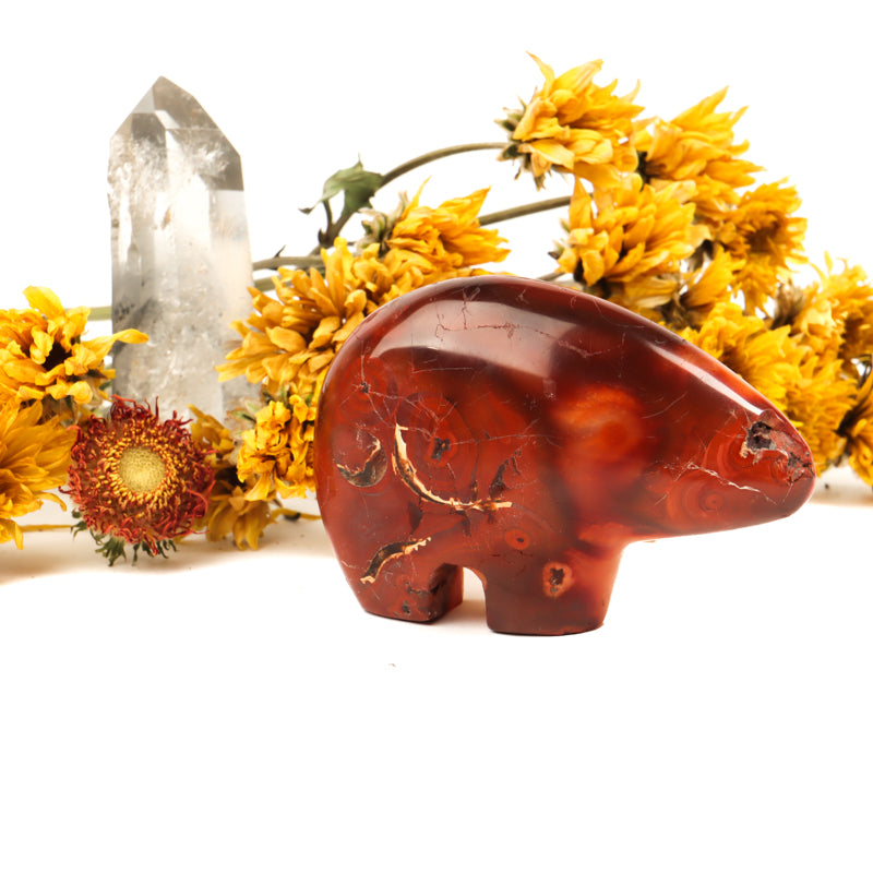 Carnelian Carved Bear