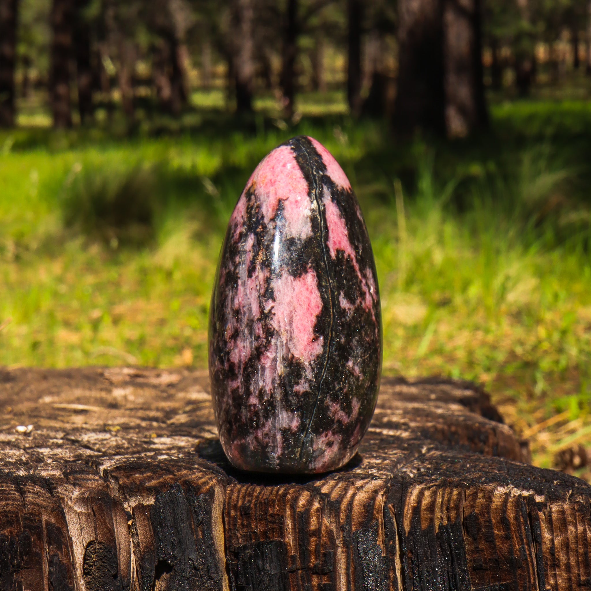 Rhodonite Free Form
