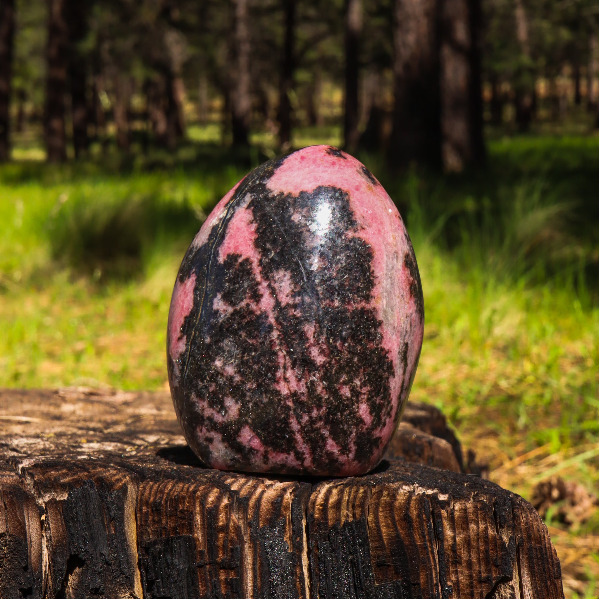 Rhodonite Free Form