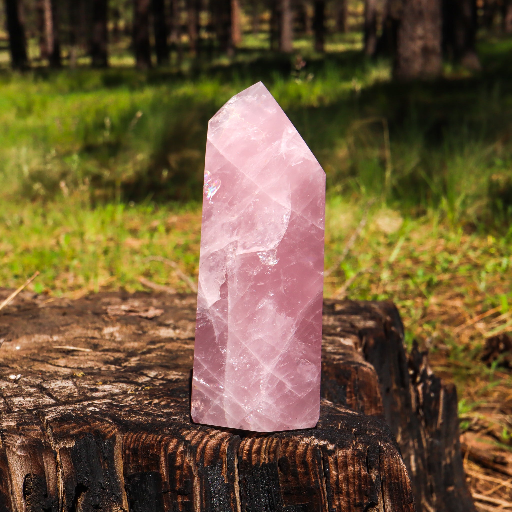 Large Rose Quartz Point