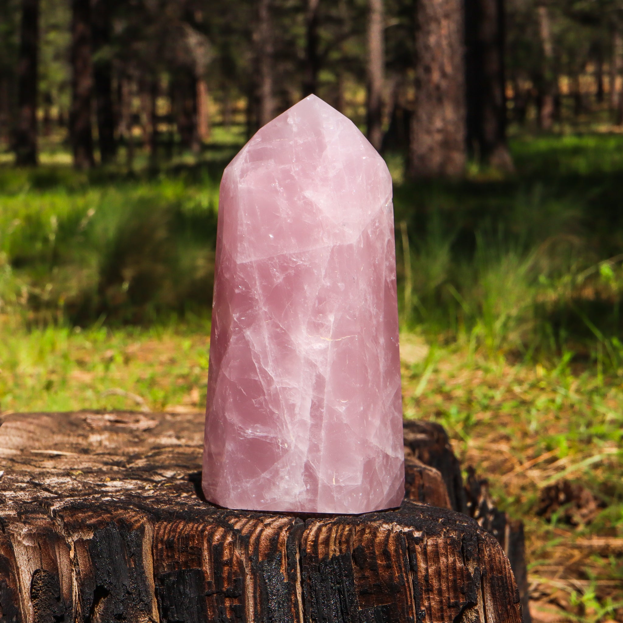 Large Rose Quartz Point