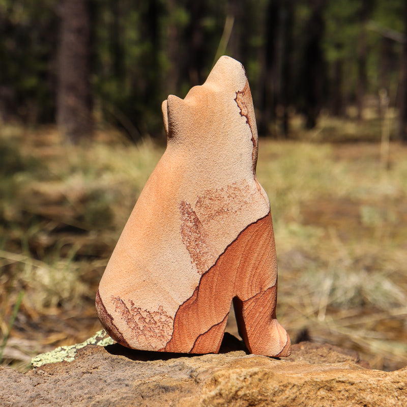 Picture Sandstone Howling Coyote