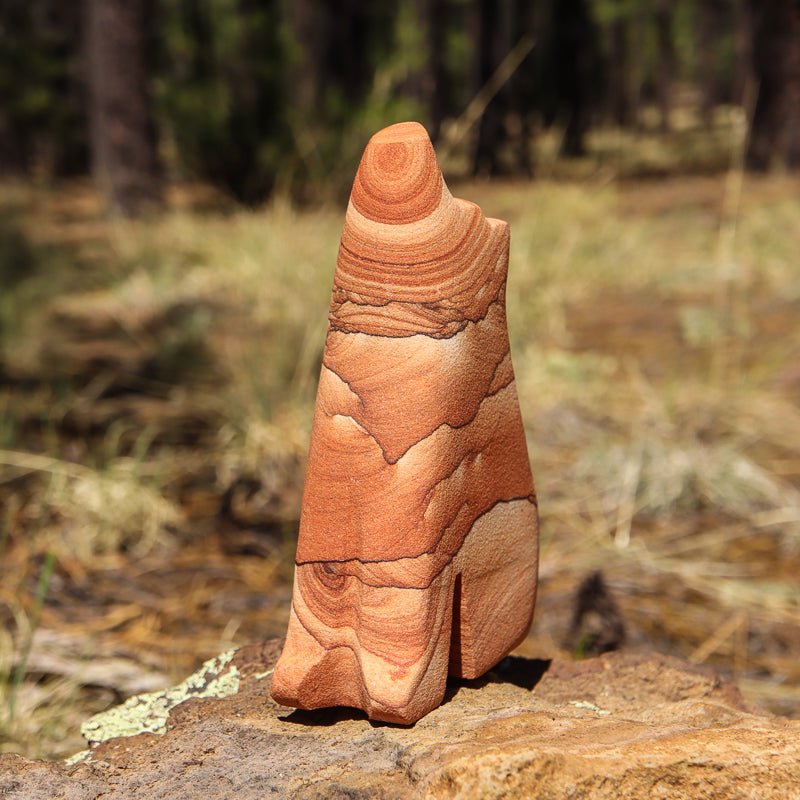 Picture Sandstone Howling Coyote