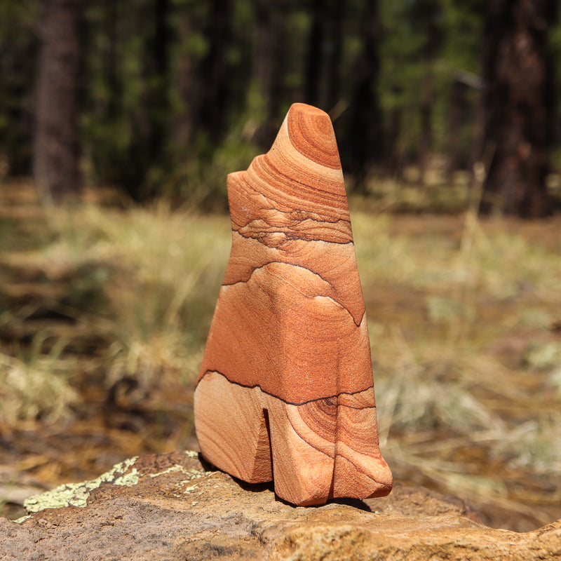 Picture Sandstone Howling Coyote