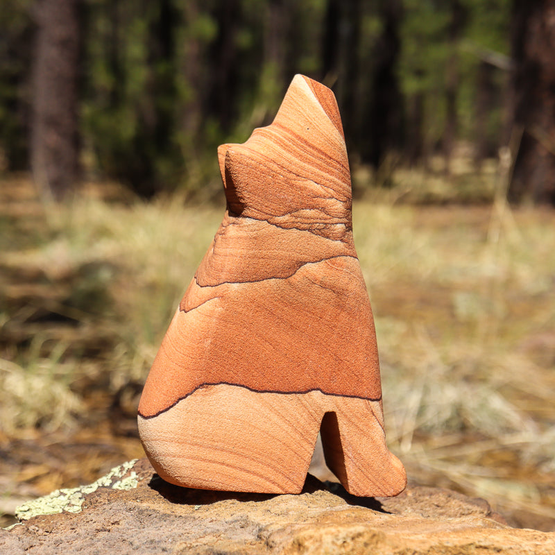 Picture Sandstone Howling Coyote