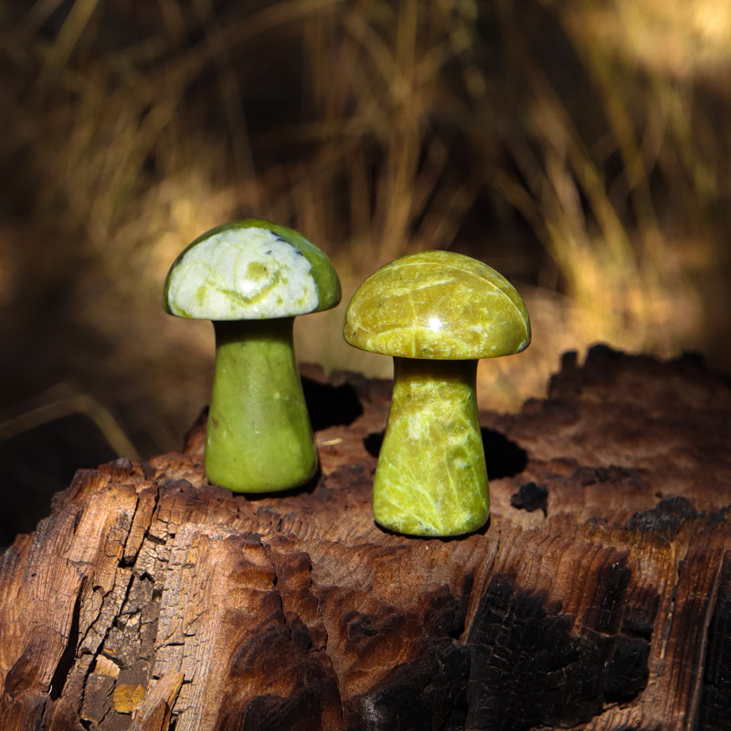 Serpentine Carved Mushroom