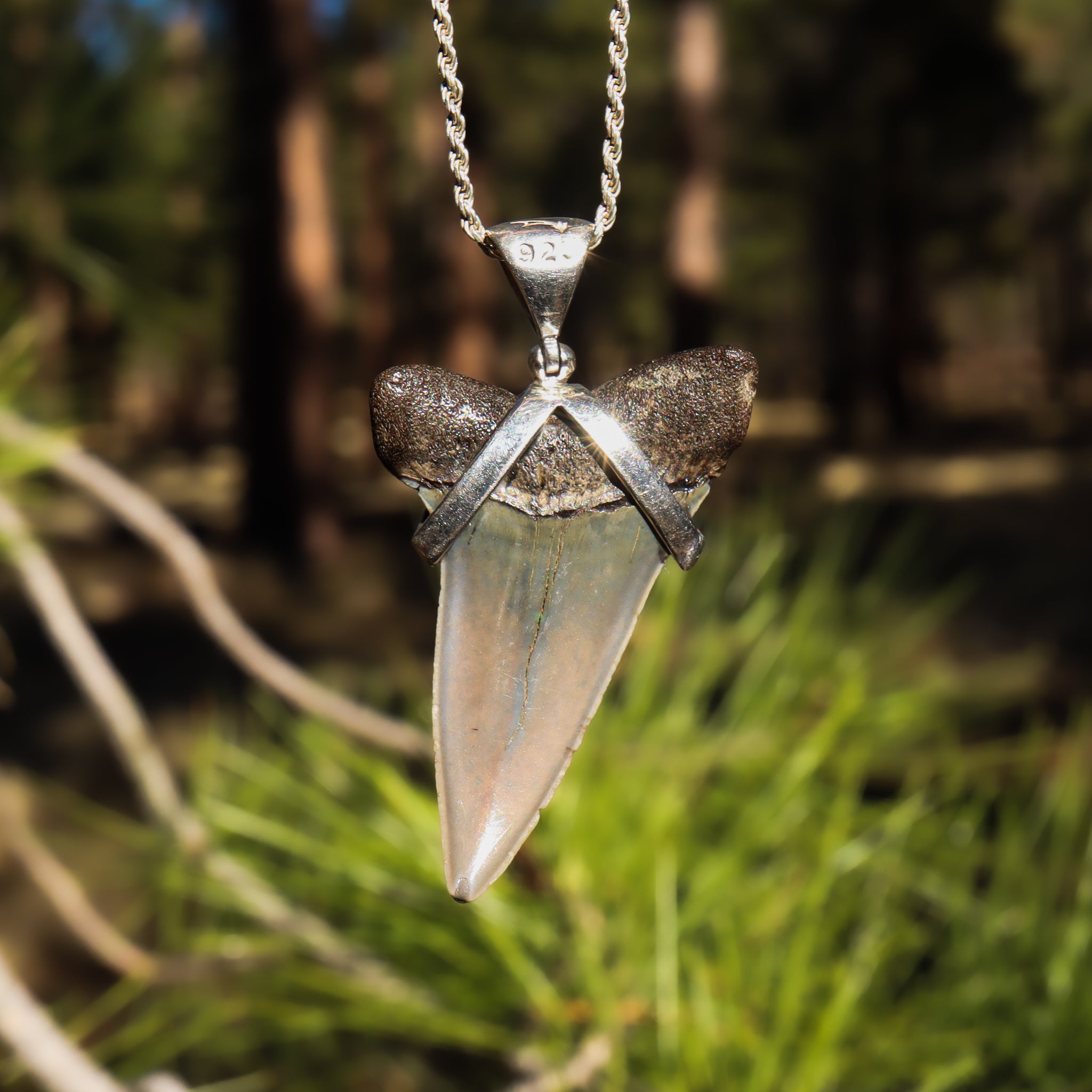 Shark Tooth Pendant
