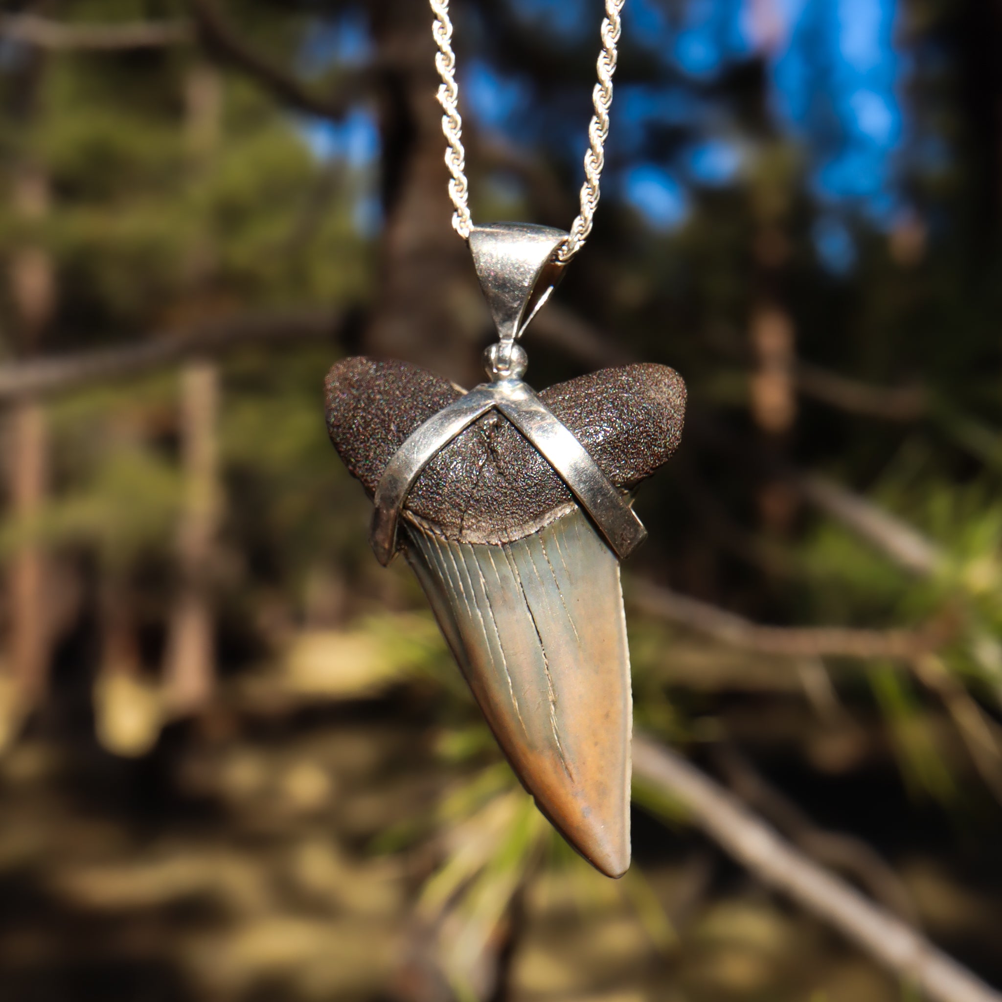 Shark Tooth Pendant