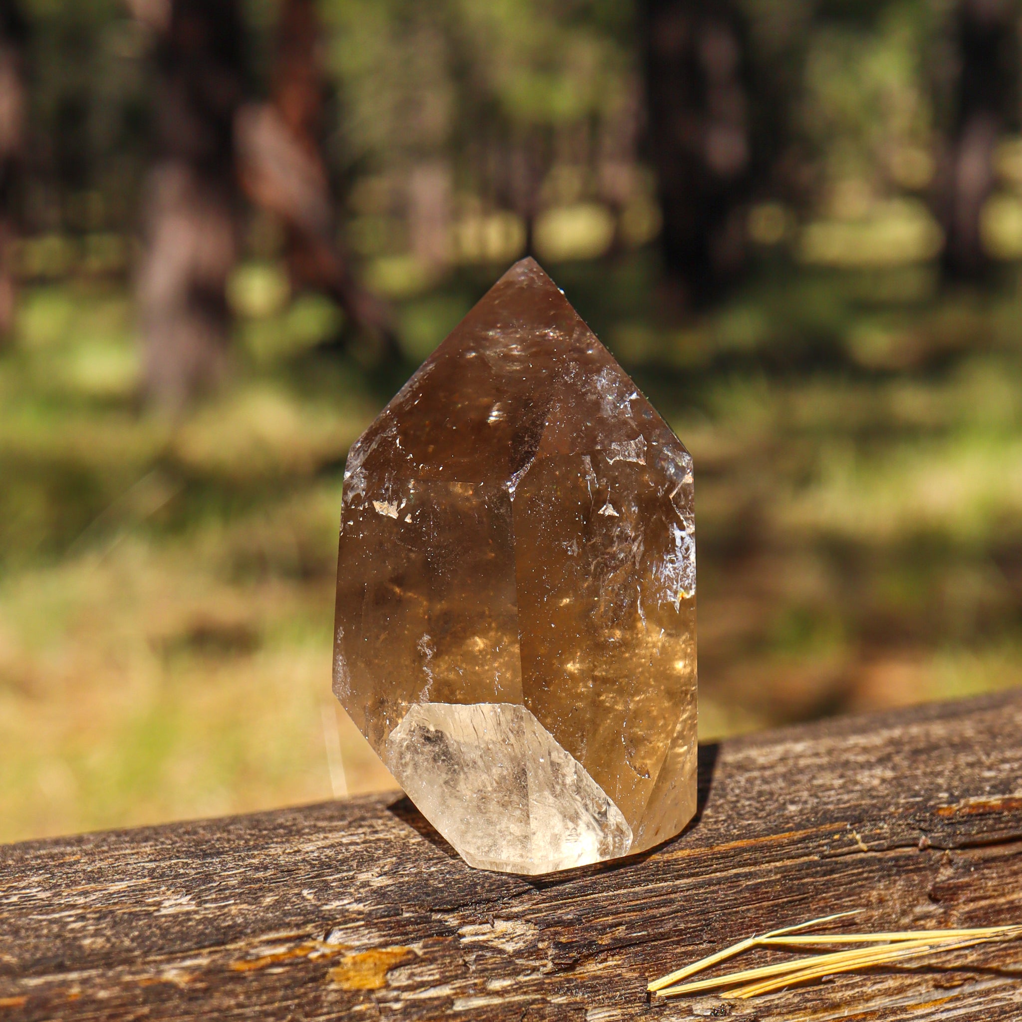 Smoky Citrine Point