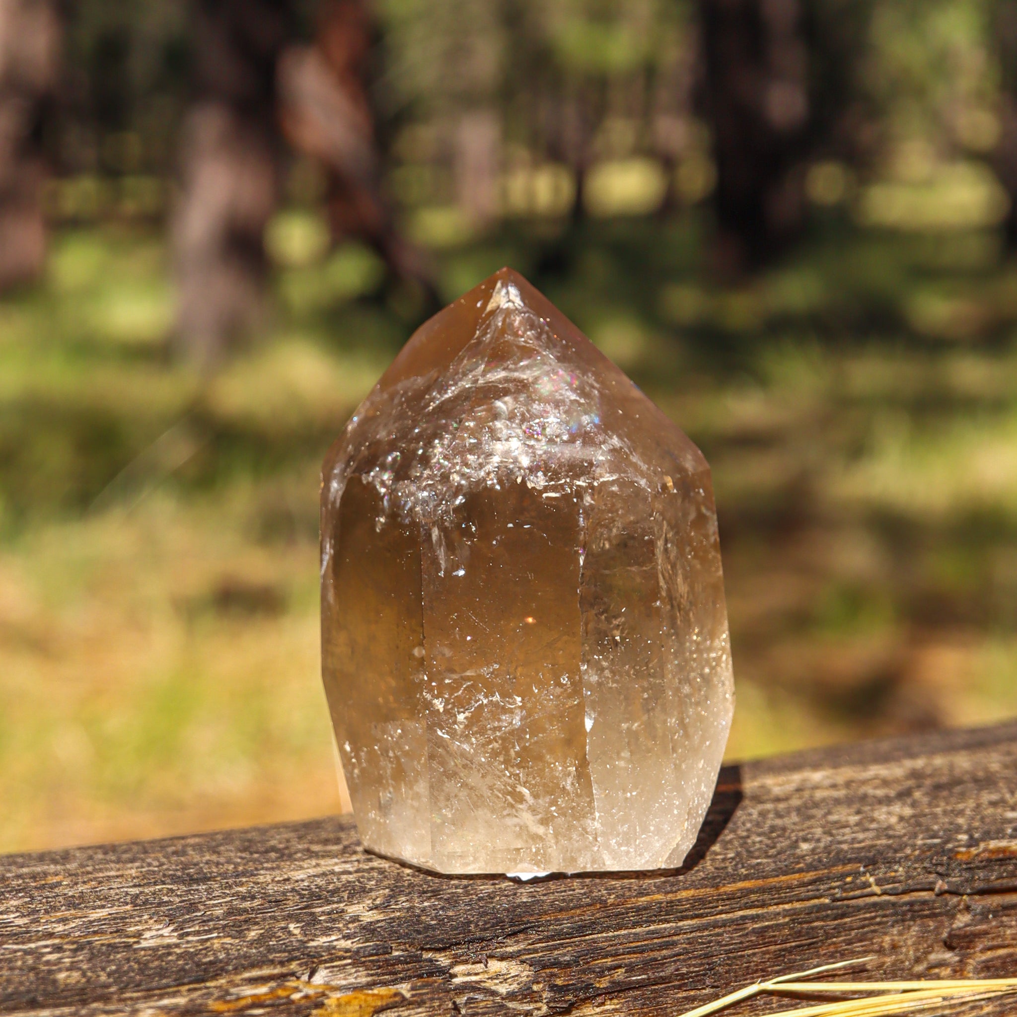 Smoky Citrine Point