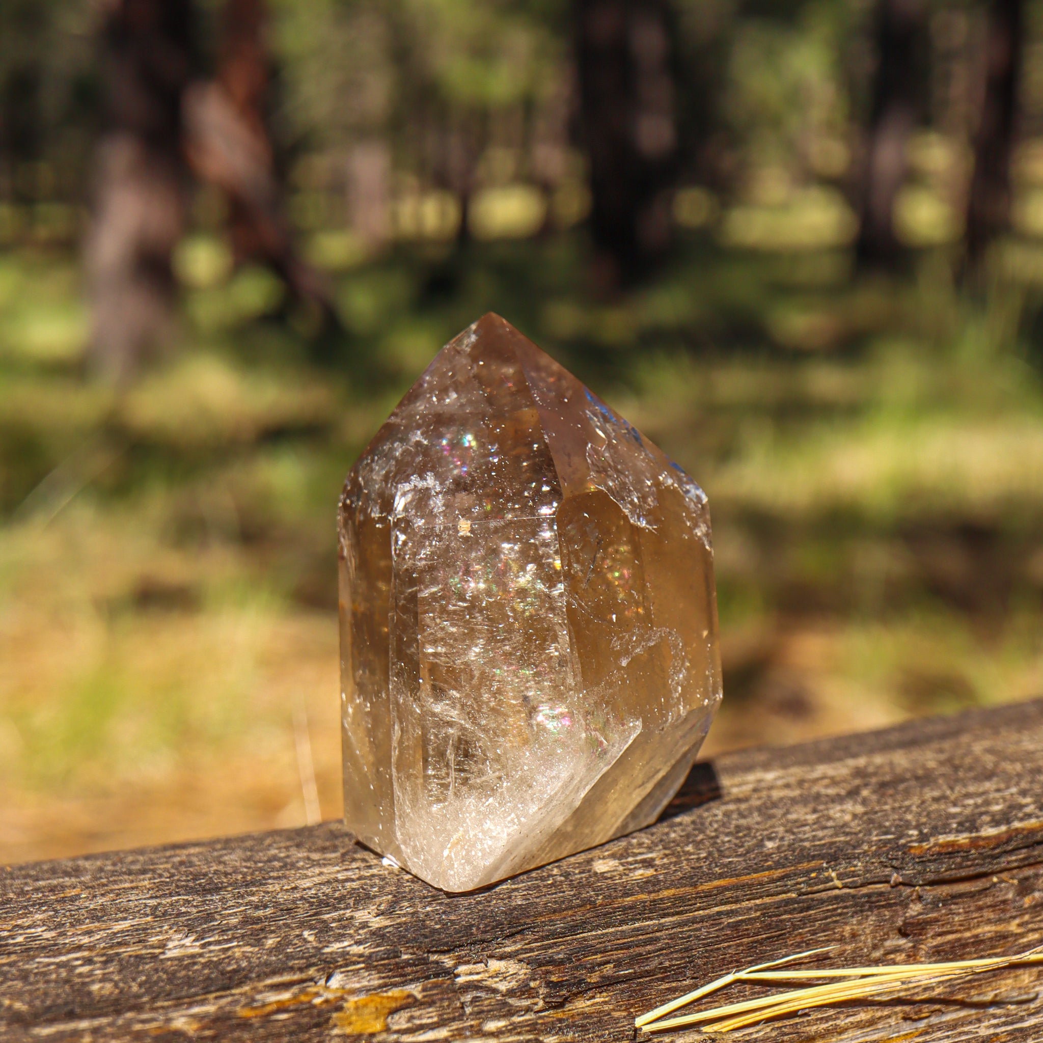 Smoky Citrine Point