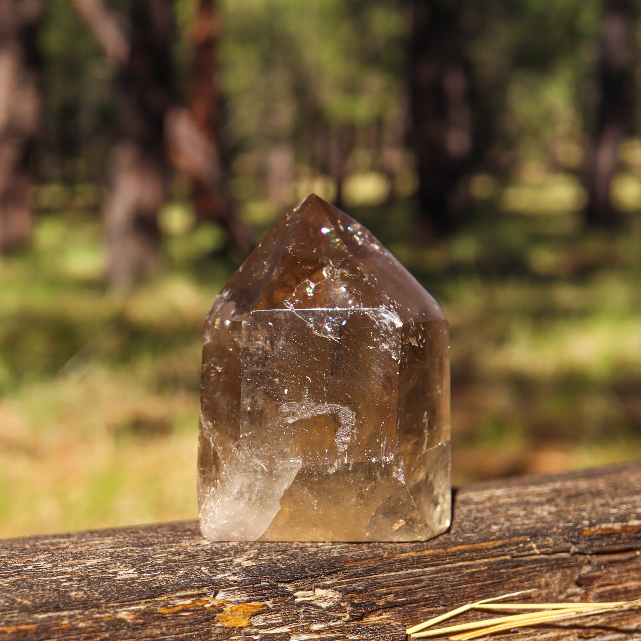 Smoky Citrine Point