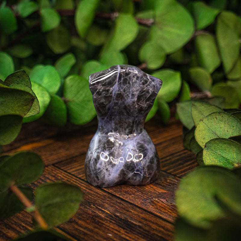 Sodalite Goddess Bust