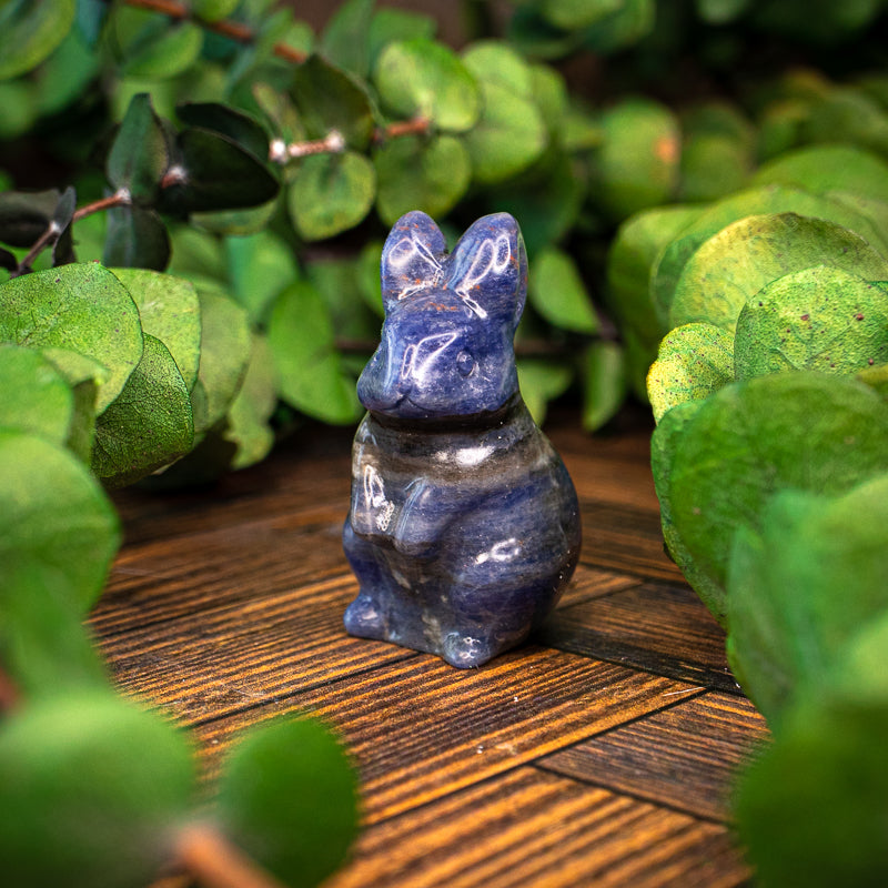 Sodalite Carved Rabbit