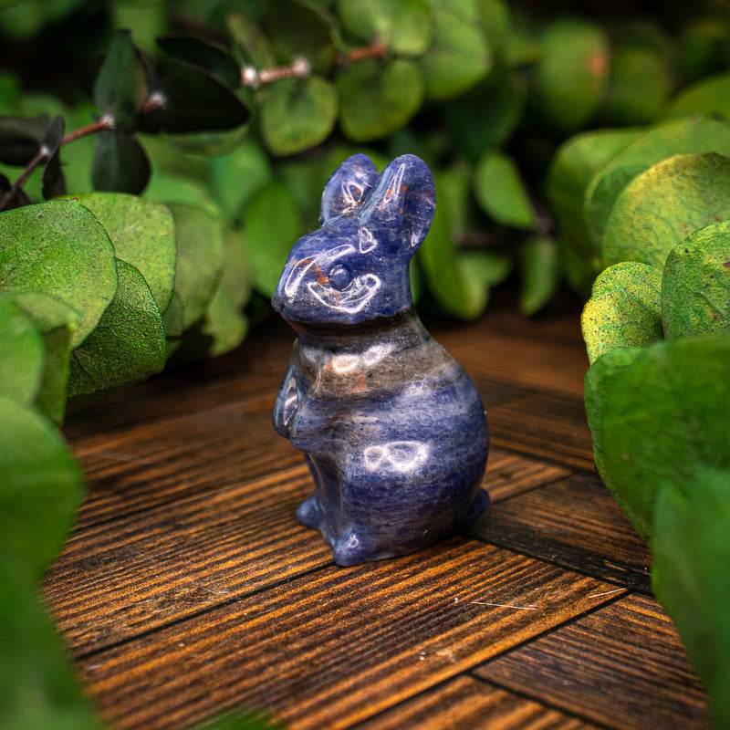 Sodalite Carved Rabbit