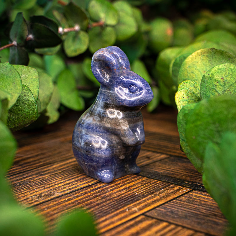 Sodalite Carved Rabbit