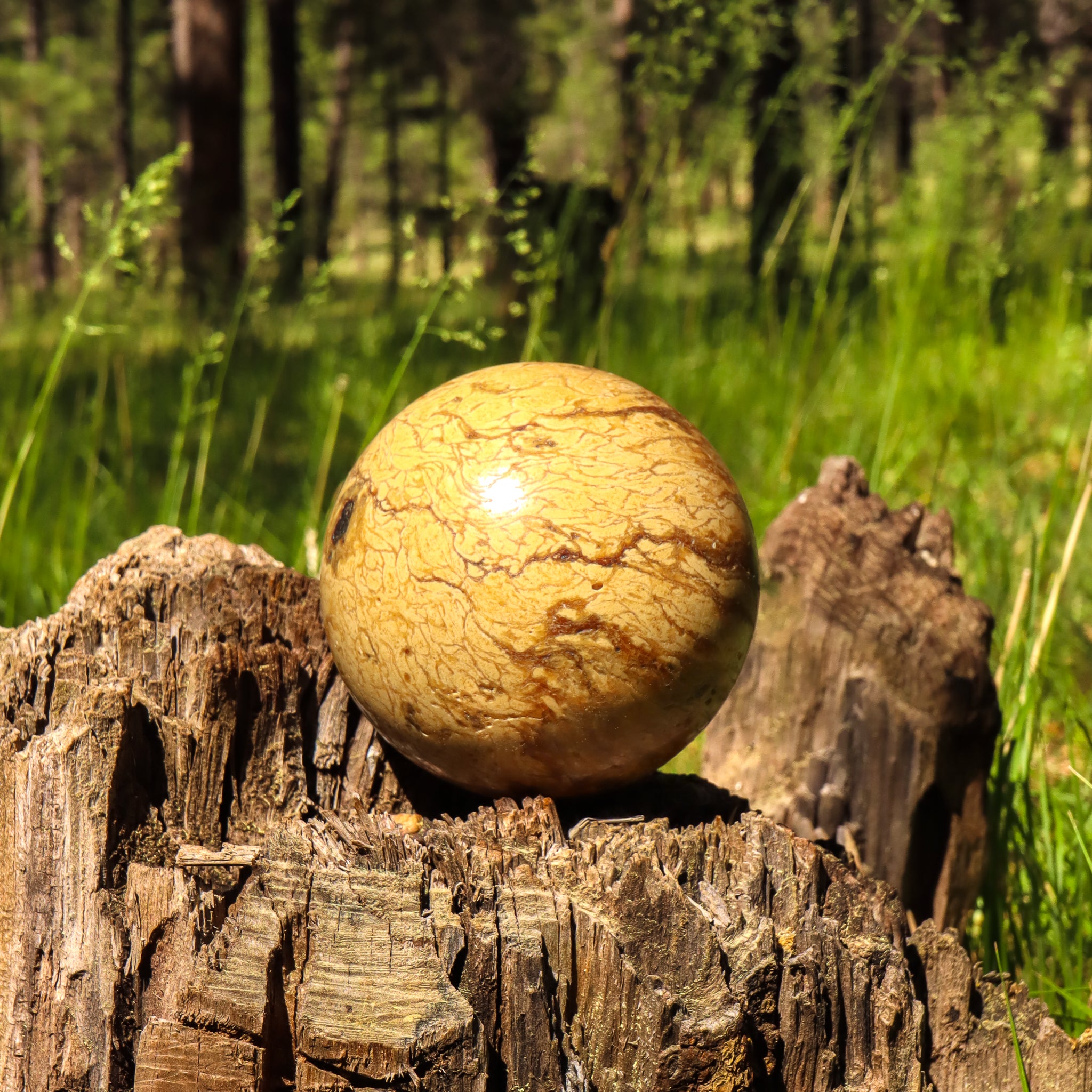 Sumatran Amber Sphere