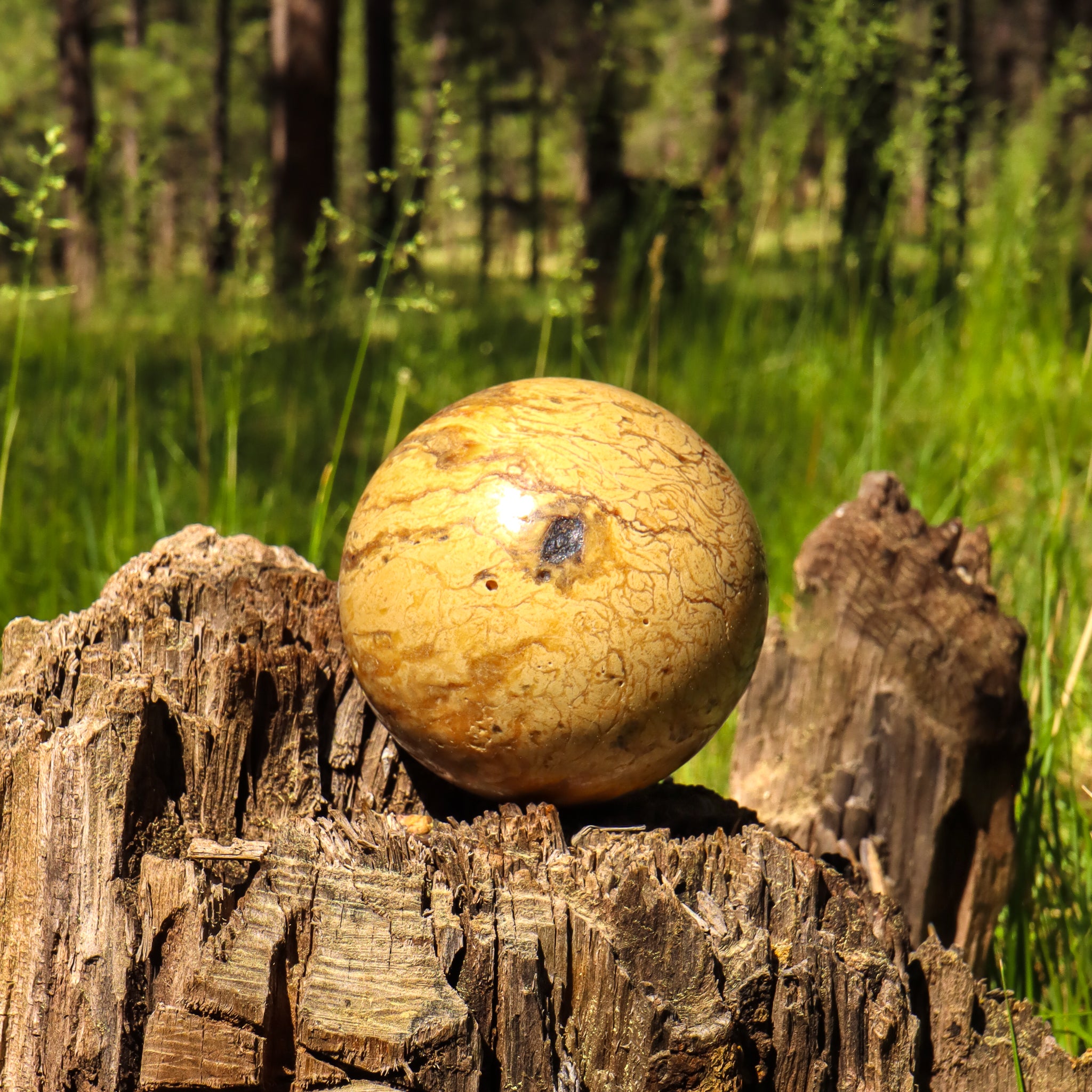 Sumatran Amber Sphere