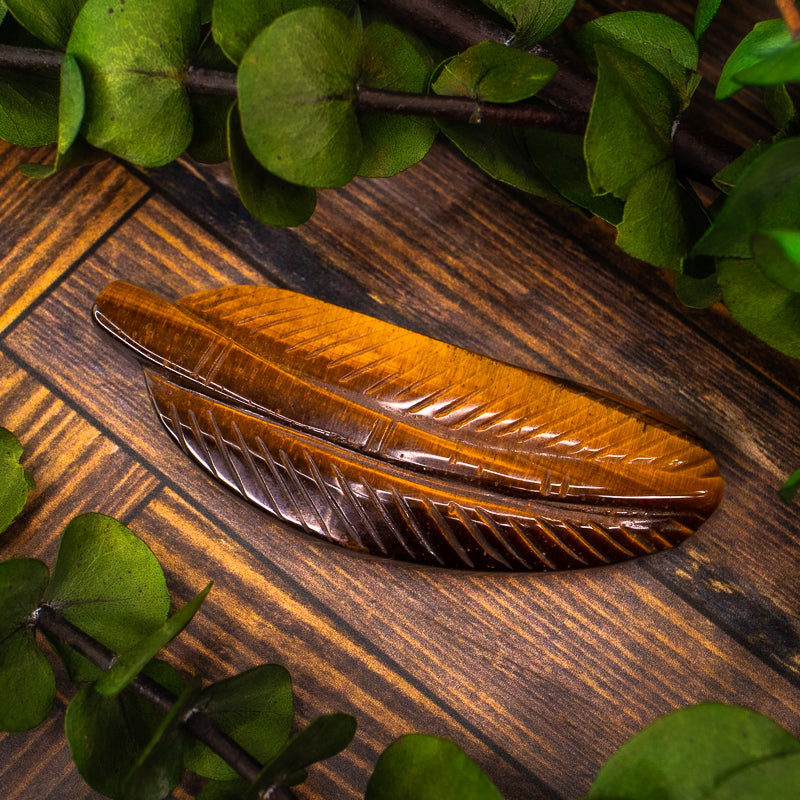 Tiger's Eye Carved Feather