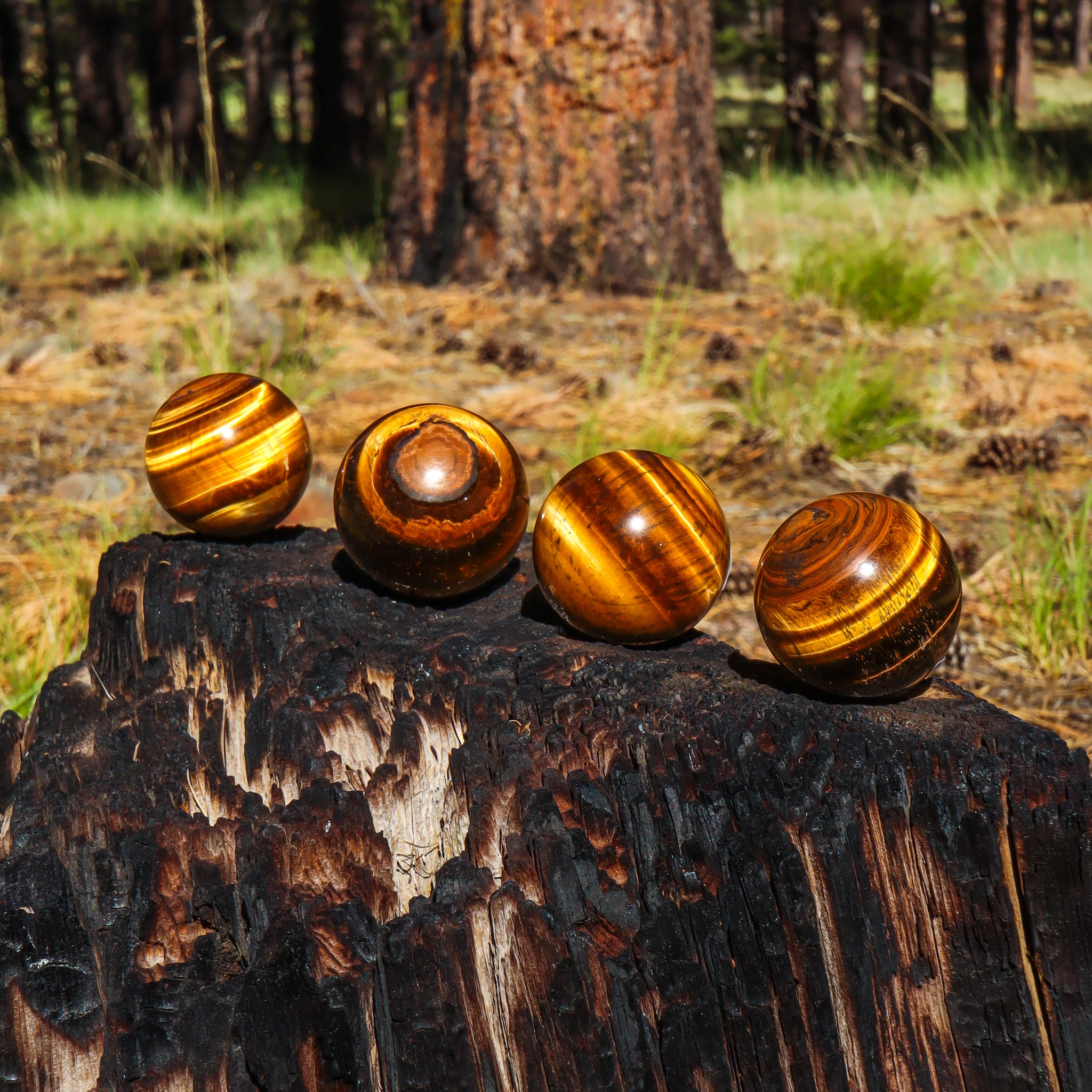 Tiger's Eye Sphere