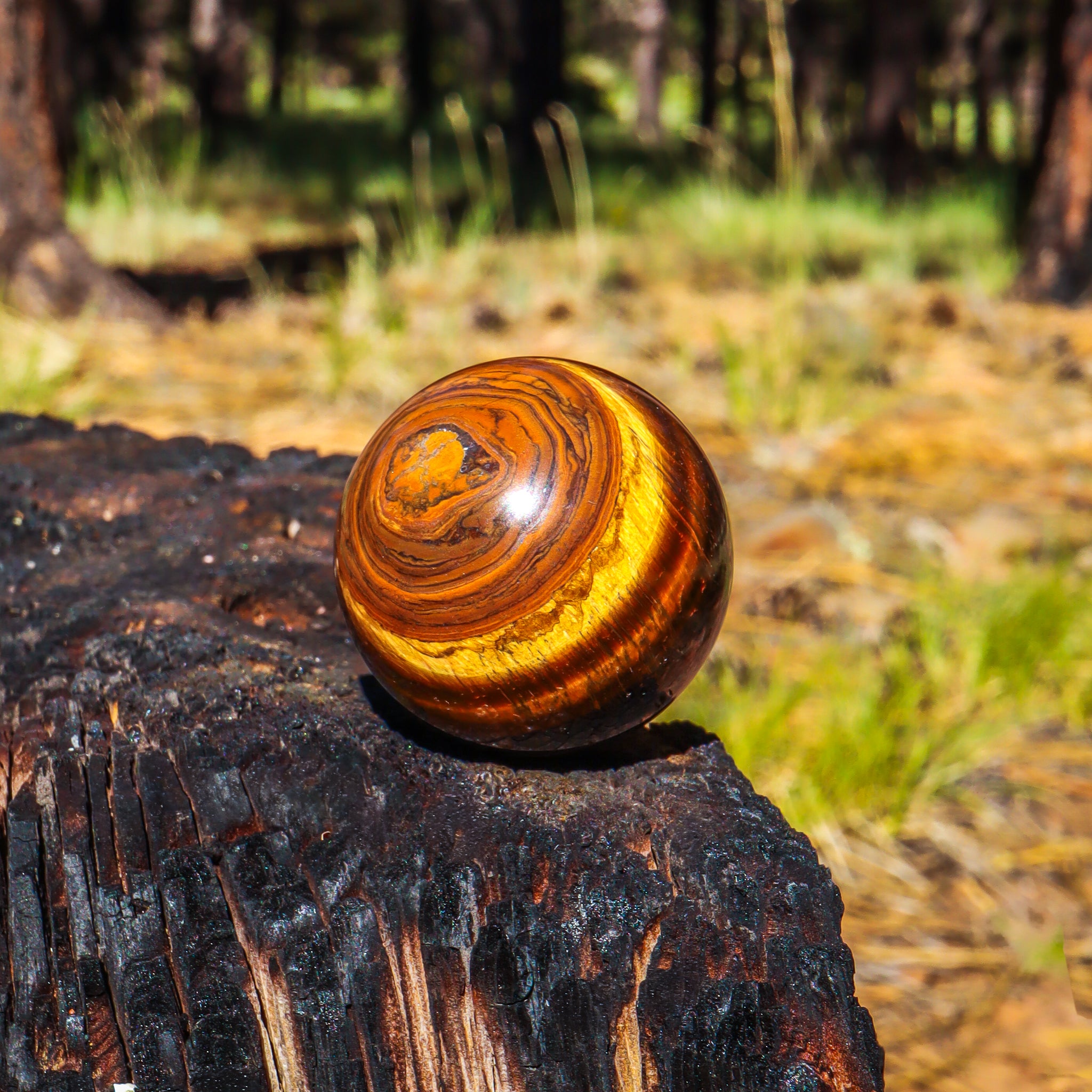 Tiger's Eye Sphere