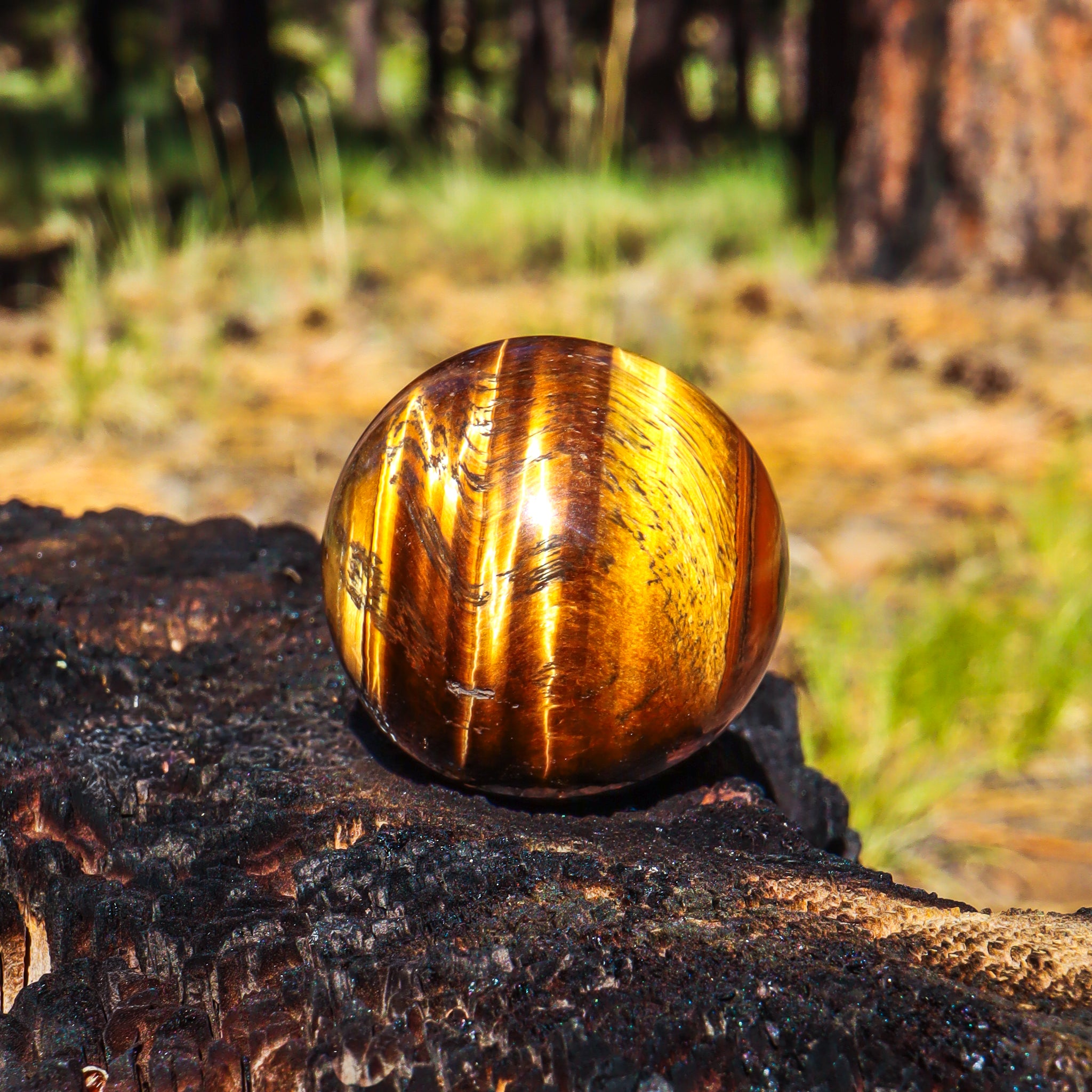 Tiger's Eye Sphere