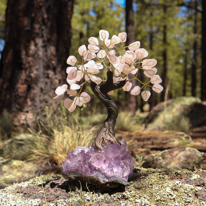 Unique Rose Quartz Crystal Tree