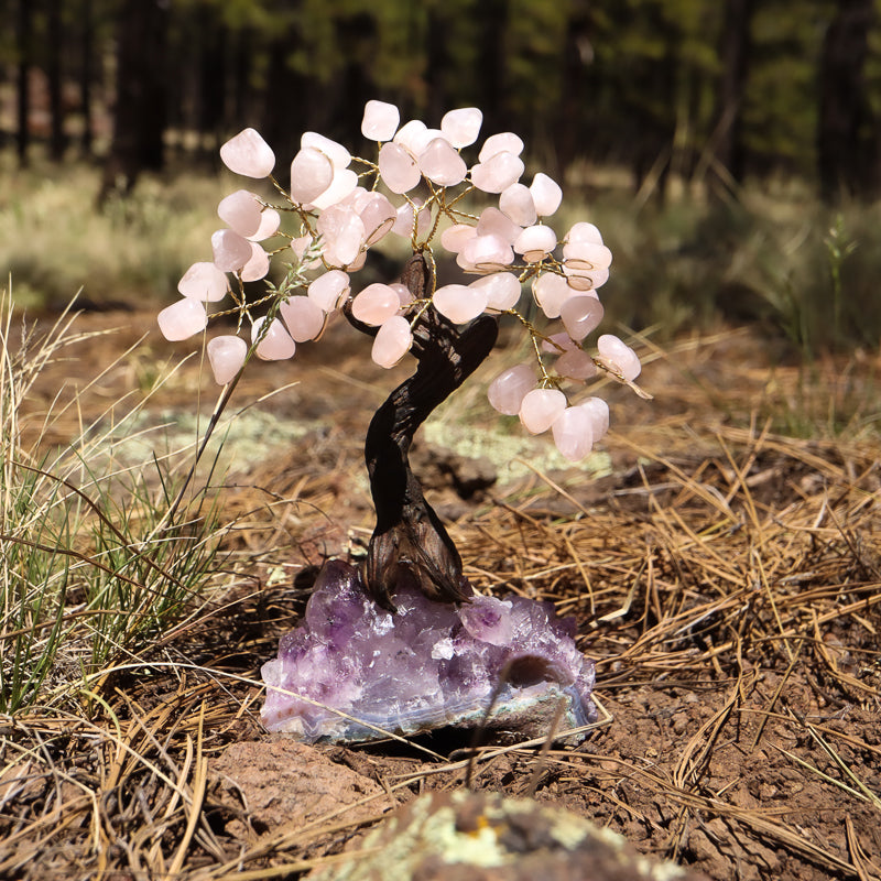 Unique Rose Quartz Crystal Tree