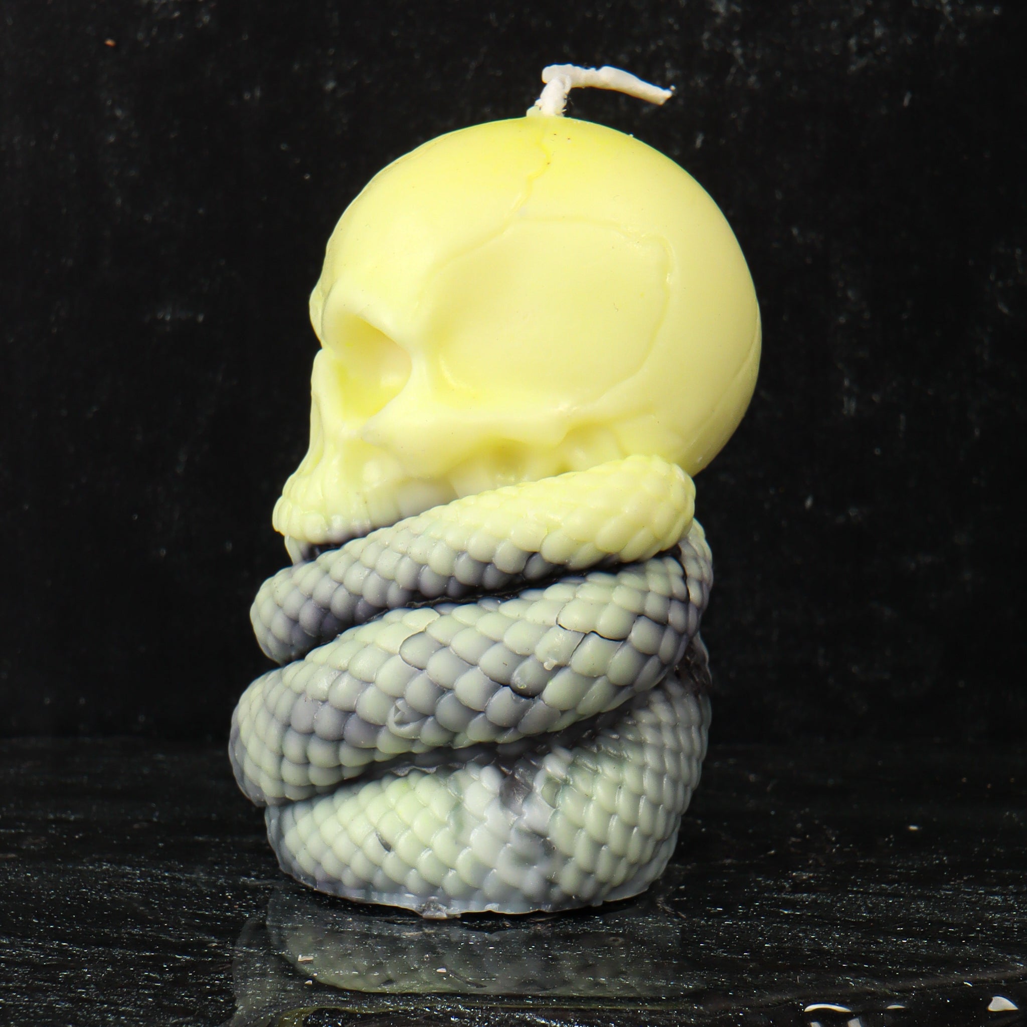 Serpent Wrapped Skull Candle