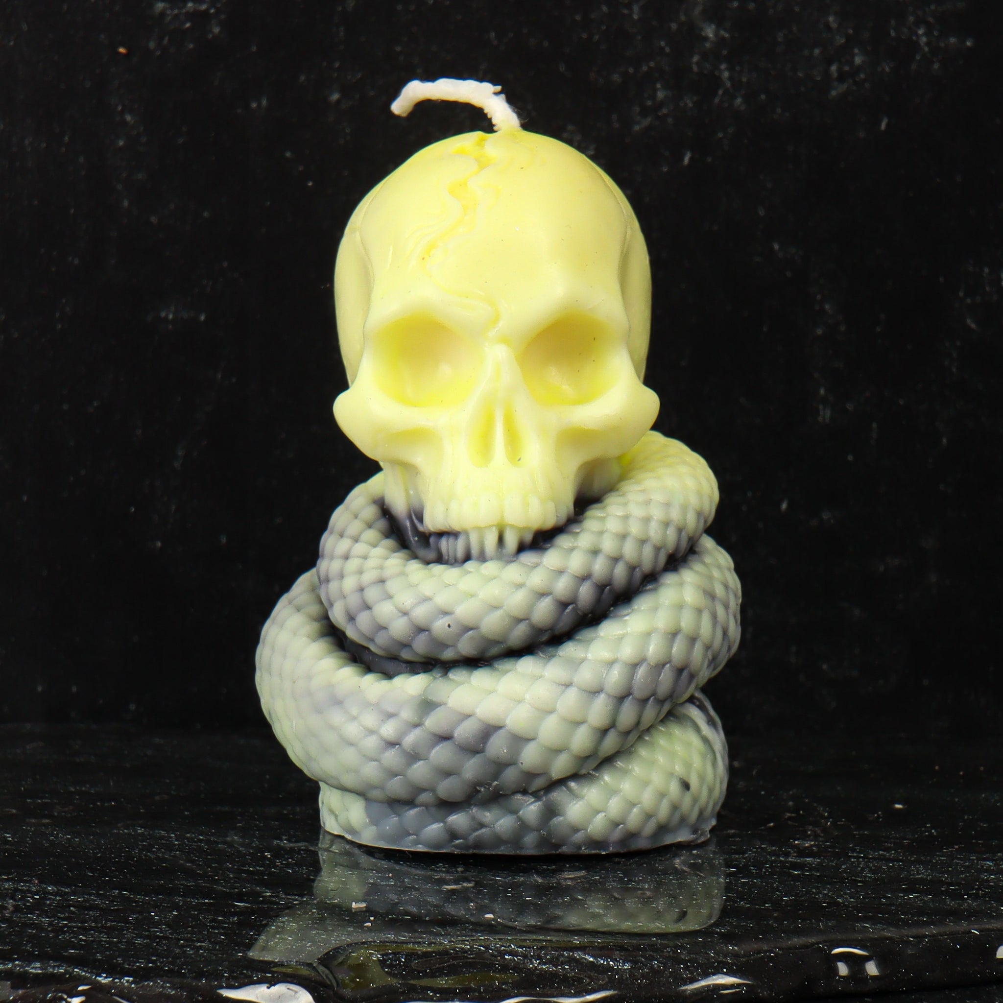 Serpent Wrapped Skull Candle