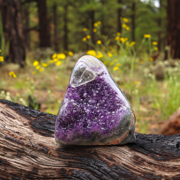 Outlets Amethyst Geode