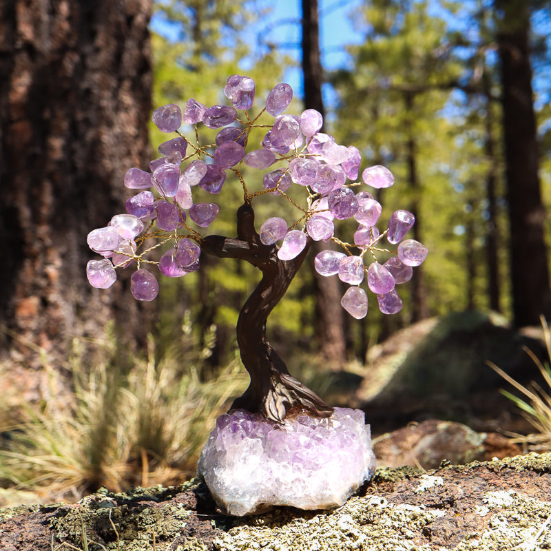 Unique Amethyst Crystal Tree