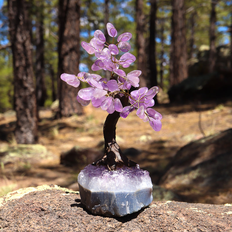 Unique Amethyst Crystal Tree