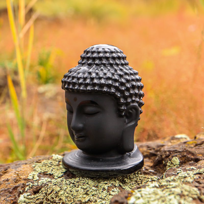 Shungite Buddha Head Carving