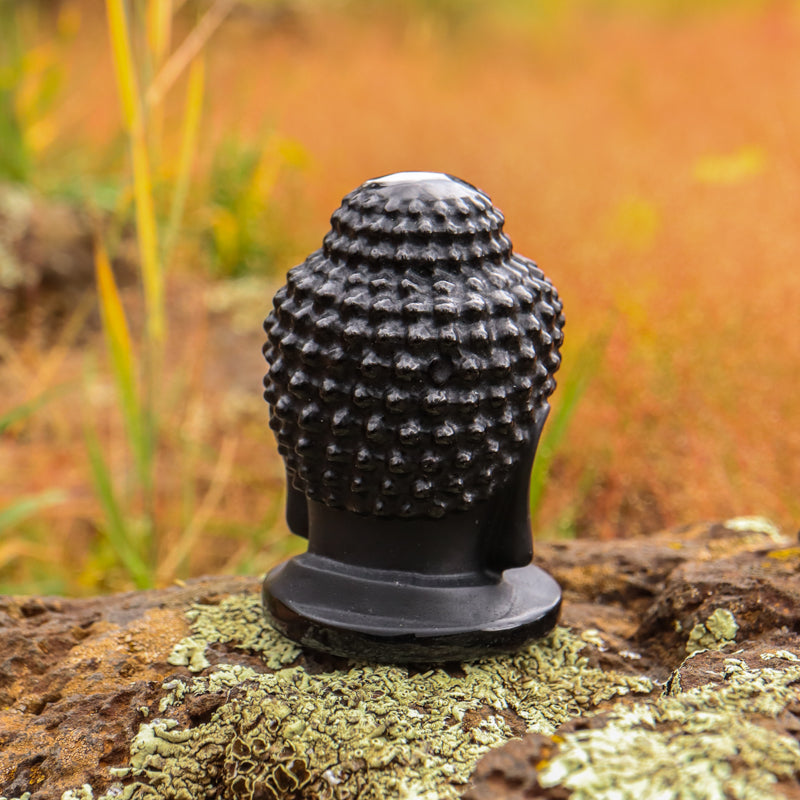 Shungite Buddha Head Carving