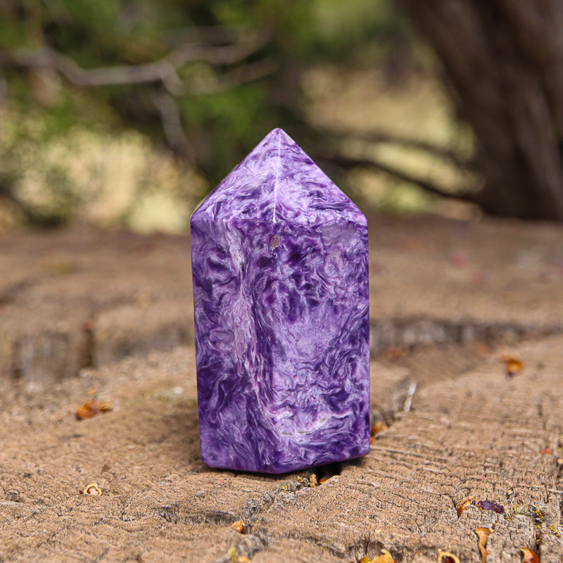 Charoite Point