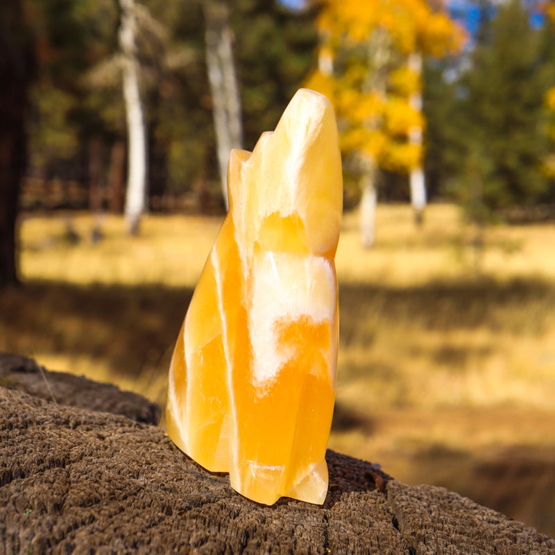 Honeycomb Calcite Carved Howling Coyote