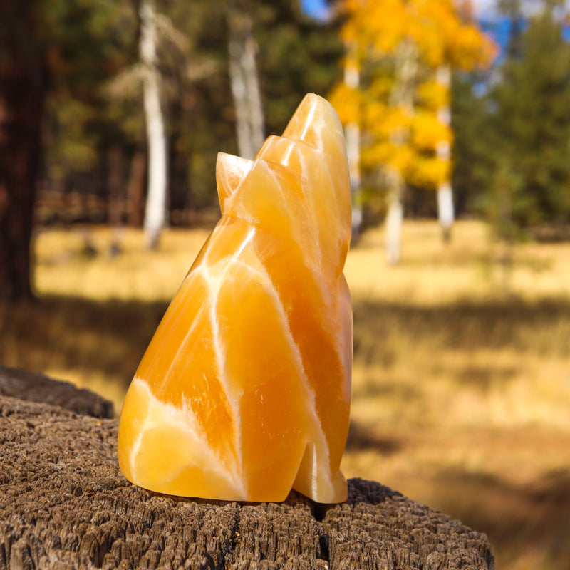 Honeycomb Calcite Carved Howling Coyote