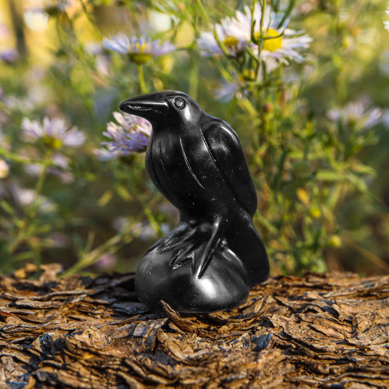 Obsidian Raven