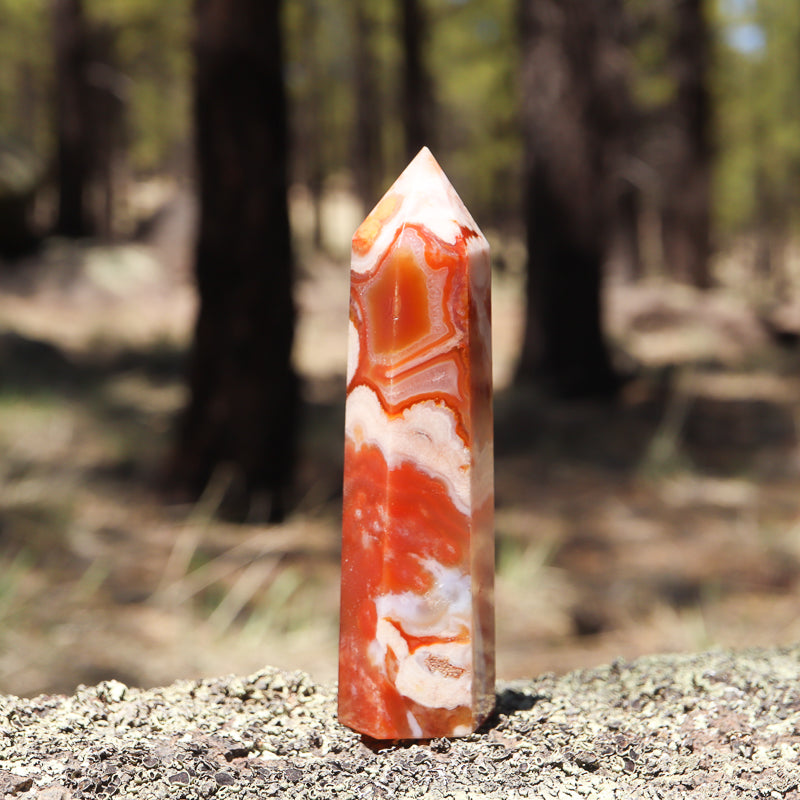 Red Flower Agate Point