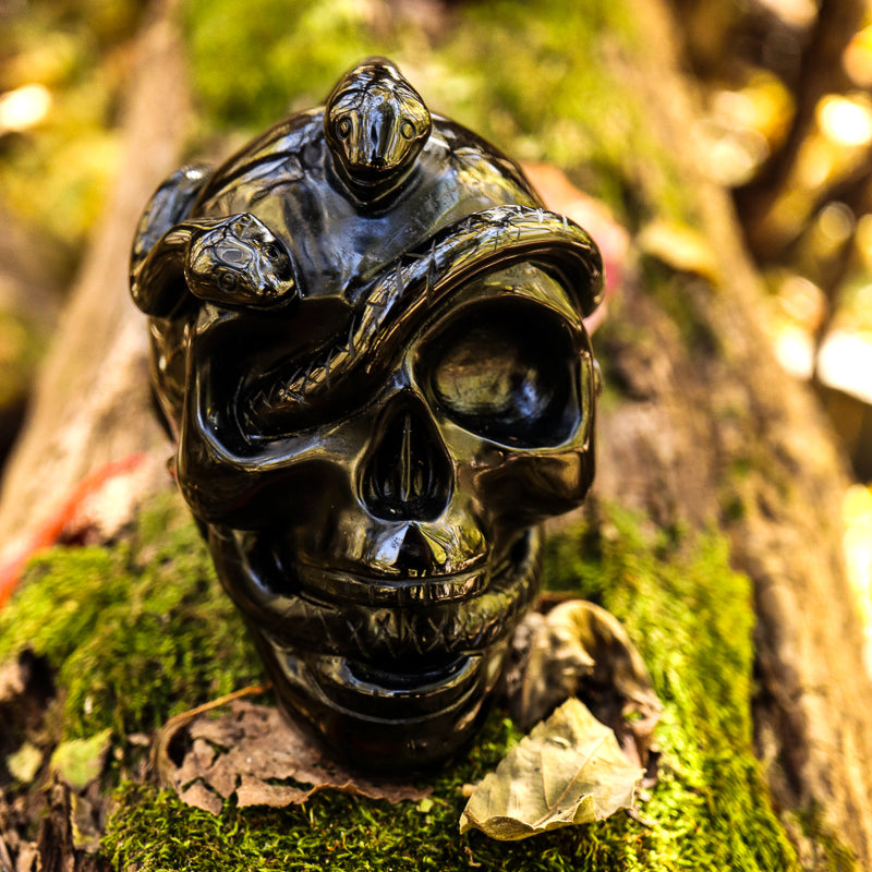 Obsidian Skull with Serpent Crystal Skull Crystal Magic 