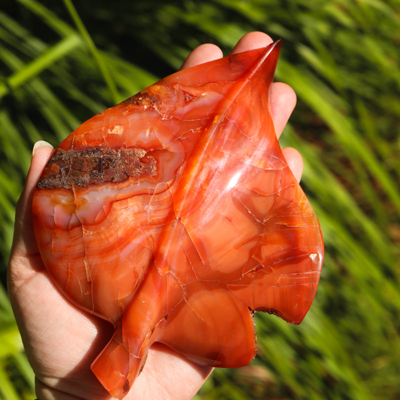 Carnelian Leaf Crystal Carvings Aries 