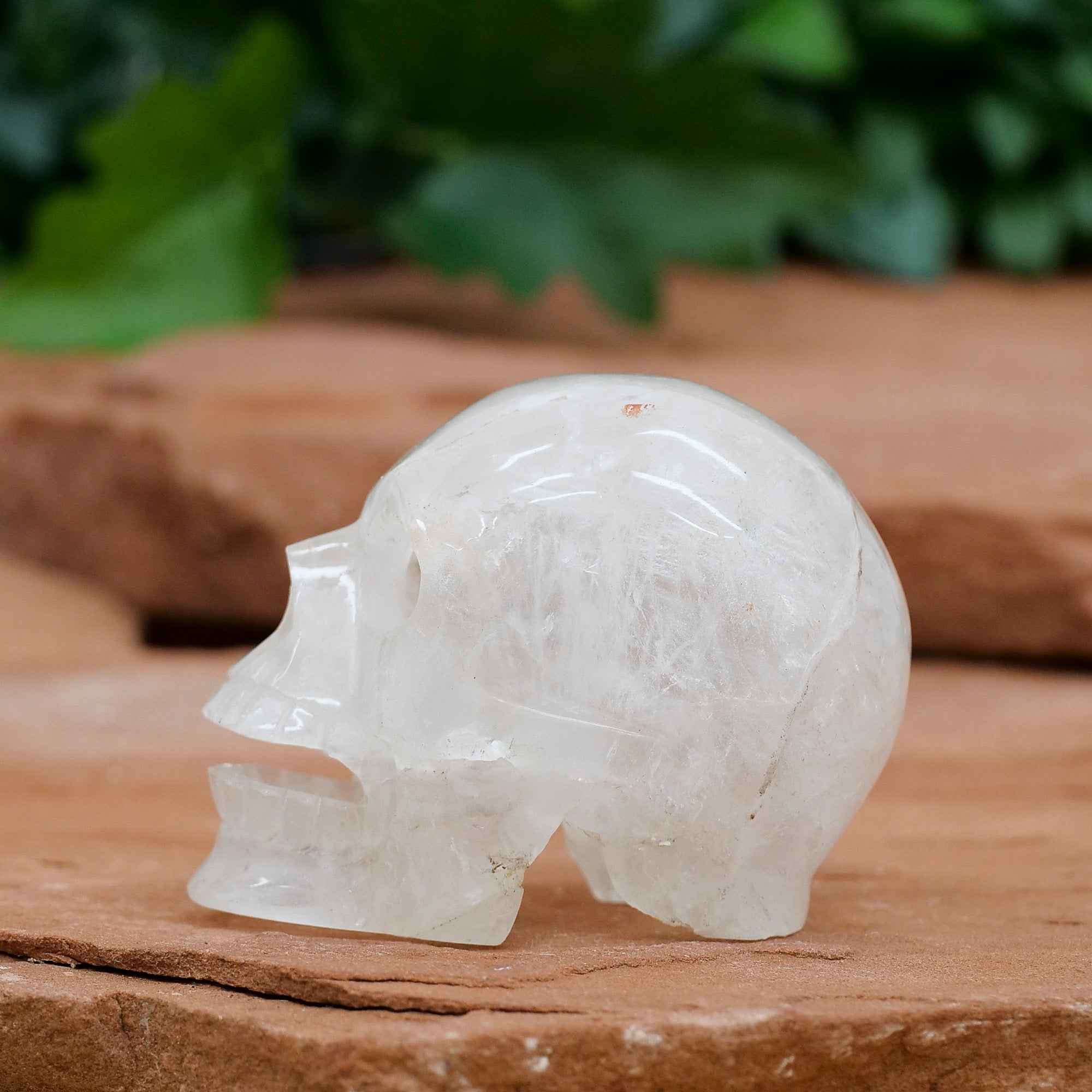 Clear Quartz Skull Crystal Skull Crystal Magic 