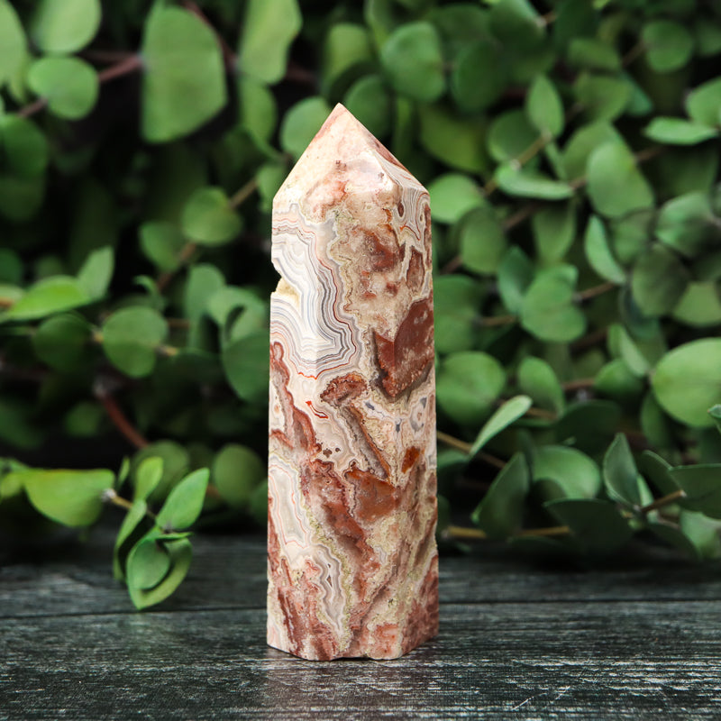 Red Crazy Lace Agate Point