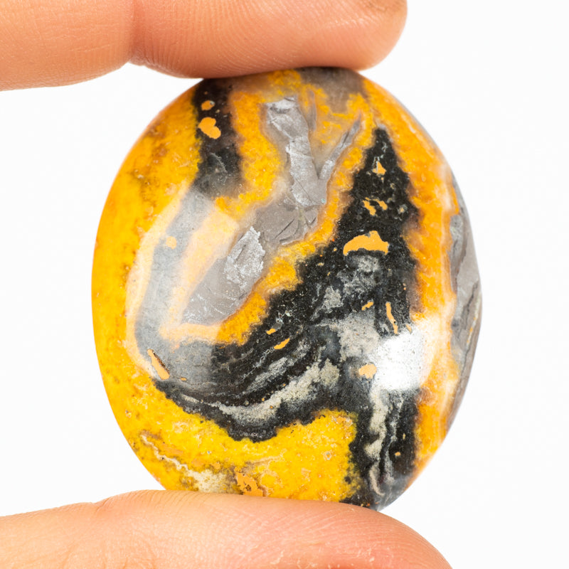 Bumblebee Jasper Palm Stone Crystal Palm Stones Cancer Sign 